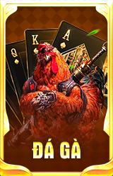 Đá gà