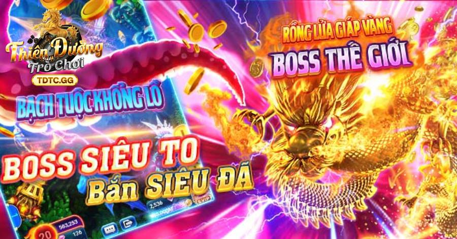 Cung cấp đa dạng lựa chọn dành cho ngư thủ