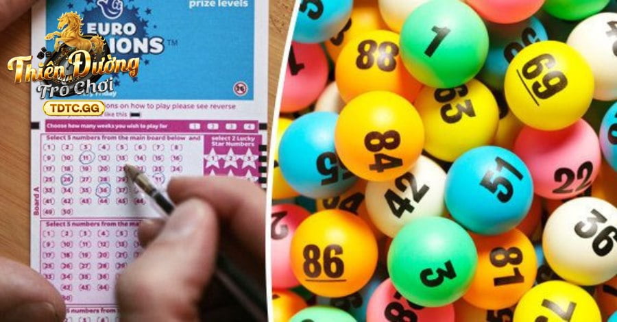 Giới thiệu một số hình thức ăn khác tại sảnh cược